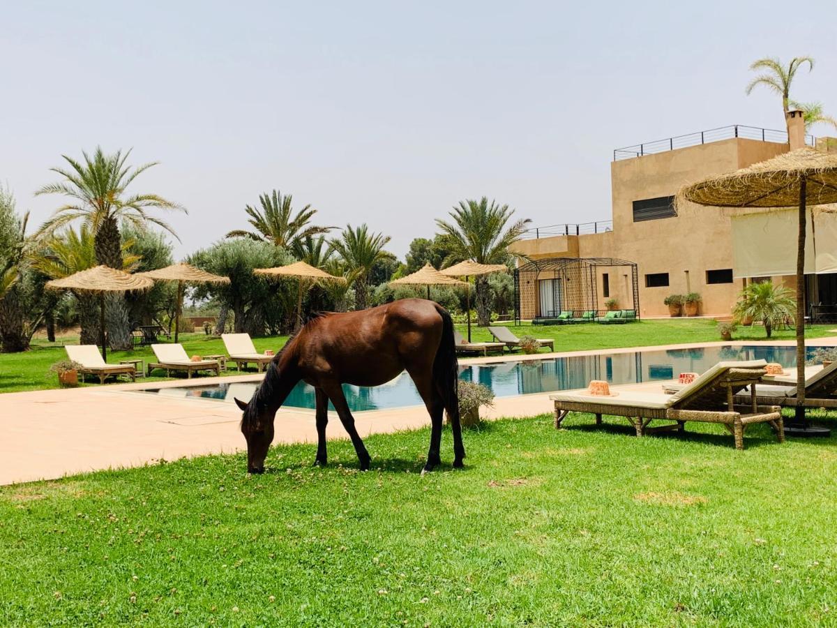 מלון Srarhna Marrakech Retreat מראה חיצוני תמונה